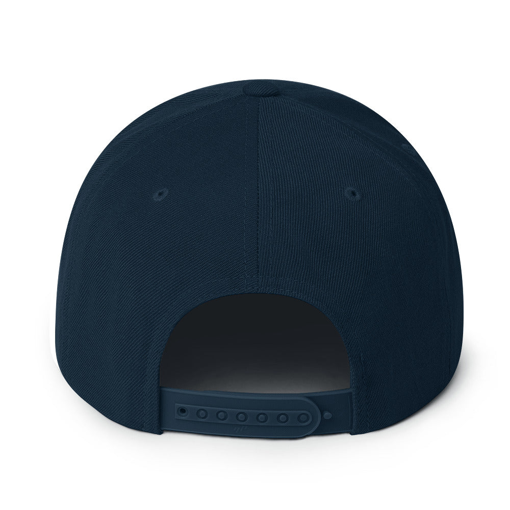 Flat Brim Classic TDB Snapback Hat
